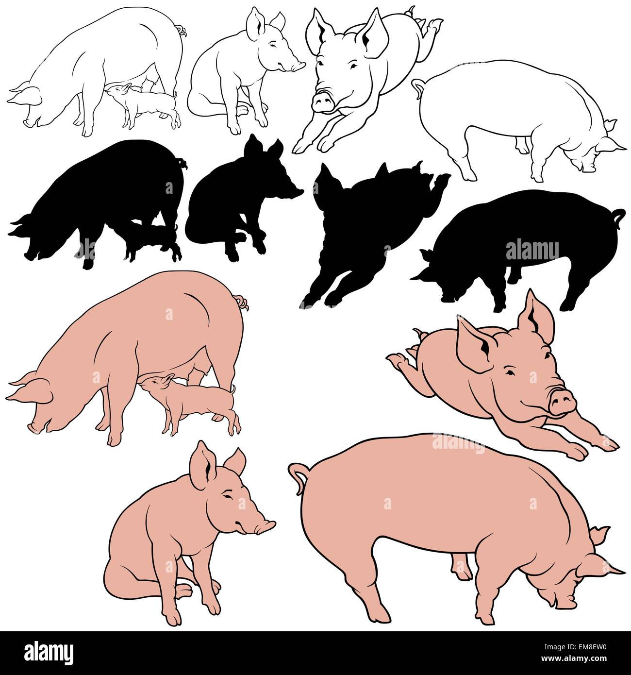 Schwein-Sammlung Stock Vektor