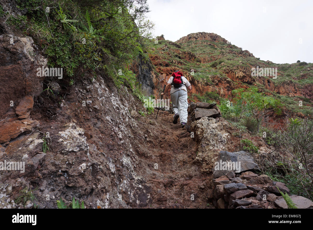 Wanderer auf dem Weg durch die rote Wand über Agulo, Insel La Gomera, Kanarische Inseln, Spanien Stockfoto