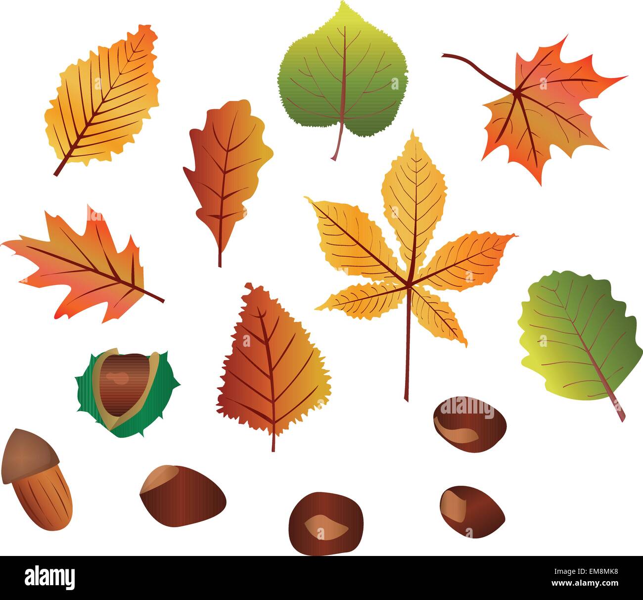 Herbst Stock Vektor