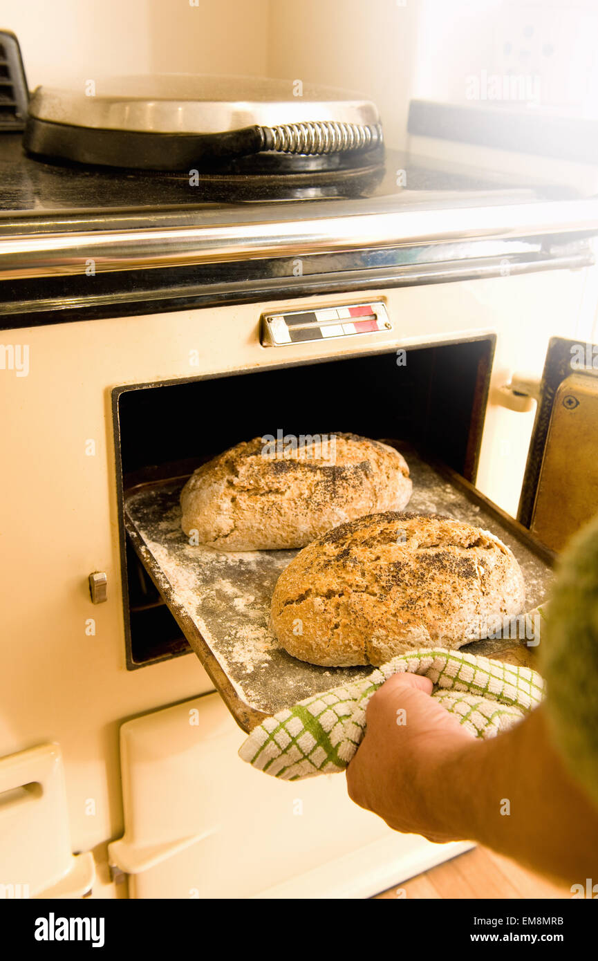 Reifer Mann unter Backblech mit frischem Brot aus dem Ofen Stockfoto