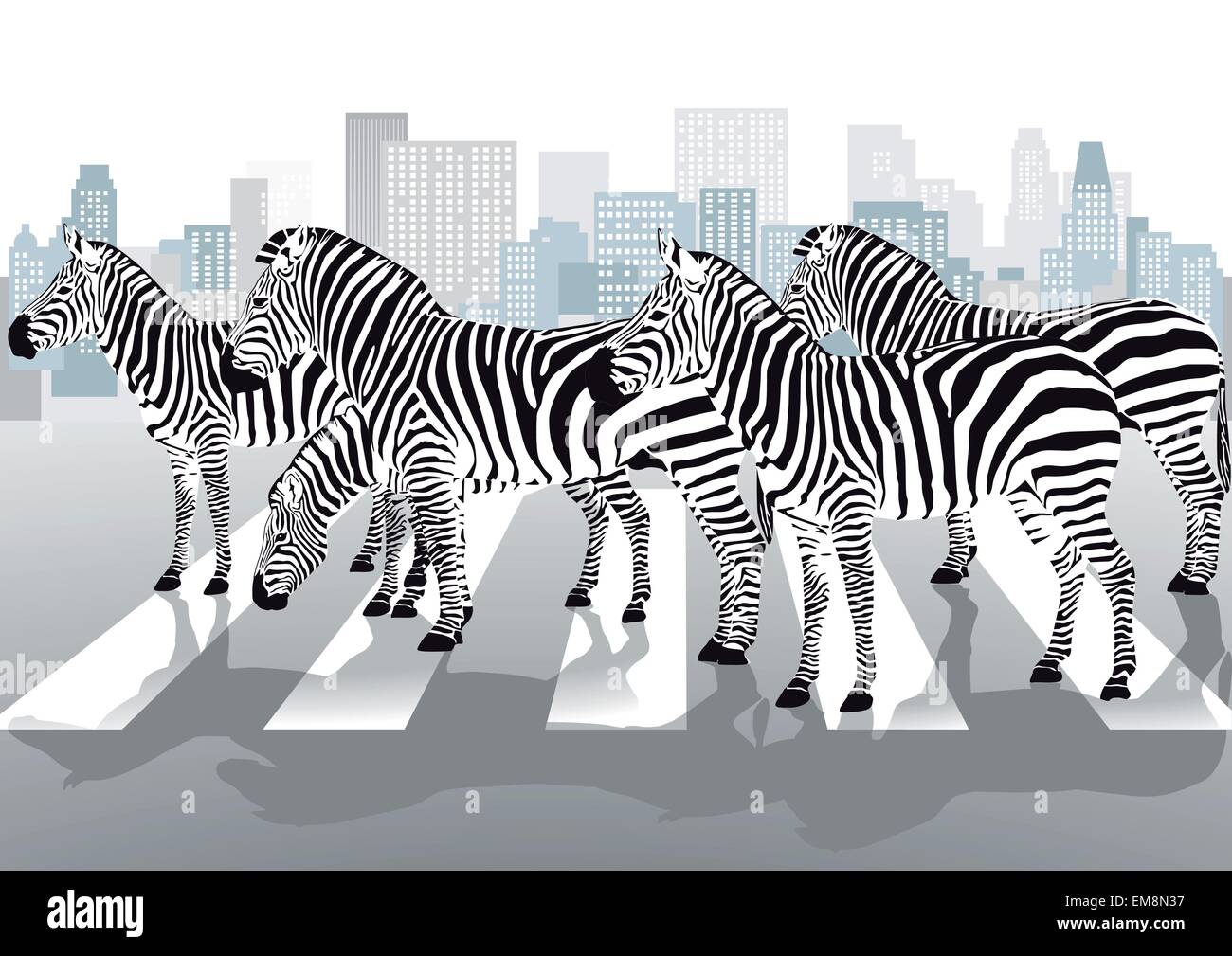Zebras am Fußgängerüberweg Stock Vektor