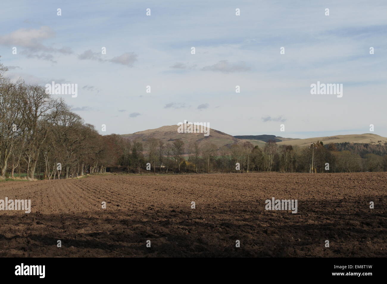 Ackerland und Kinpurney Hügel Angus Scotland April 2015 Stockfoto