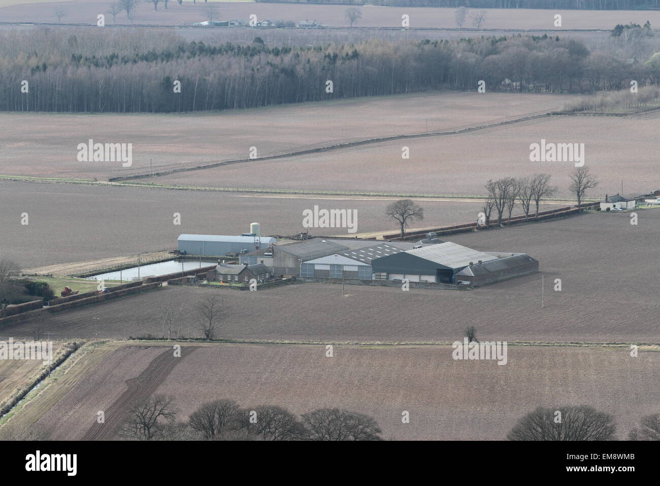 Erhöhten Blick auf Bauernhof Angus Scotland April 2015 Stockfoto