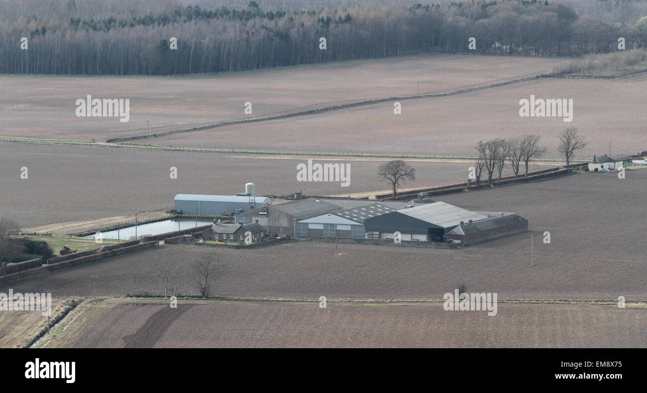 Erhöhten Blick auf Bauernhof Angus Scotland April 2015 Stockfoto
