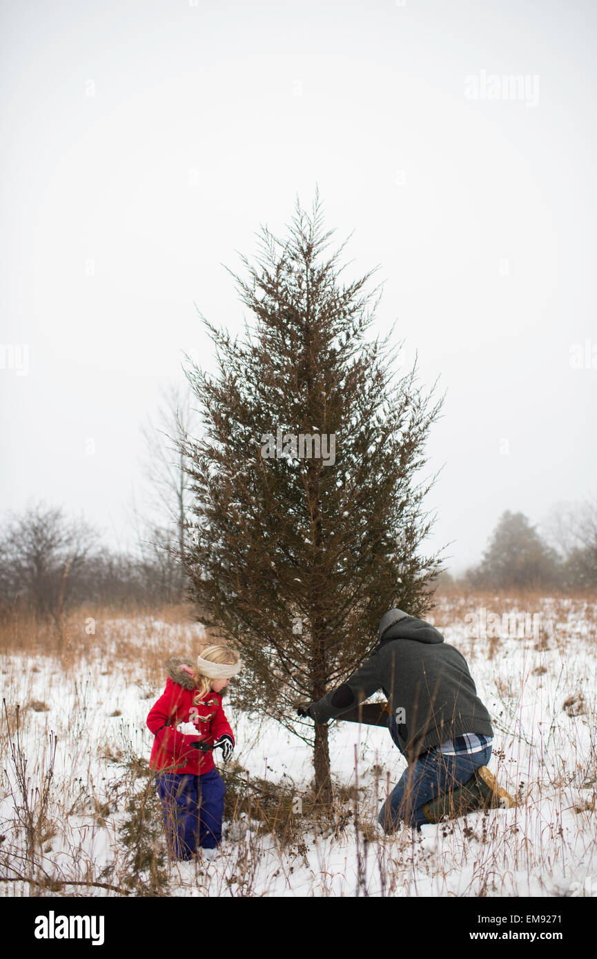 Vater und Tochter Abholzen Weihnachtsbaum Stockfoto