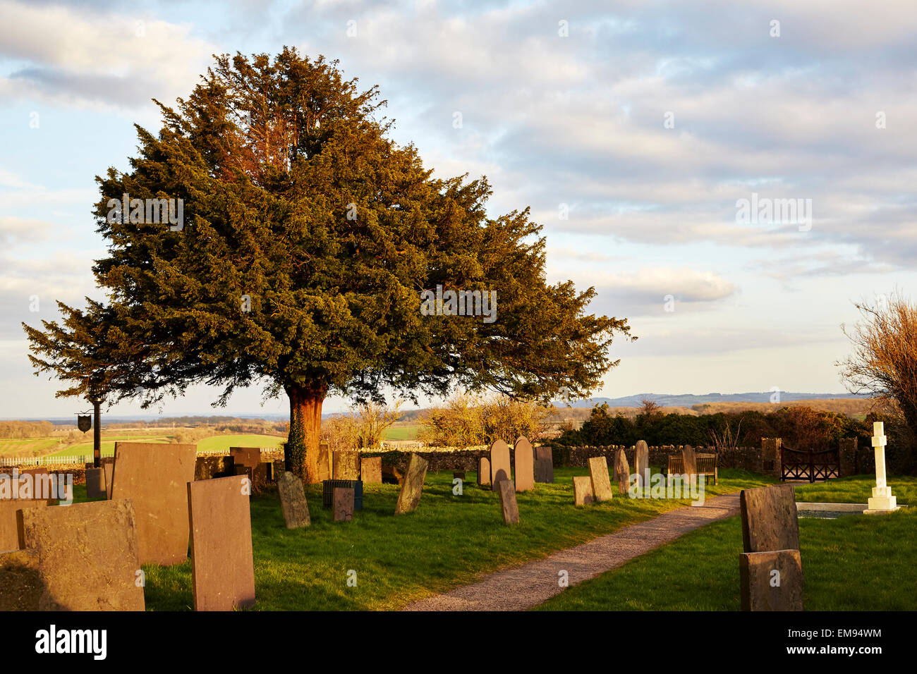 Eibe in einem Friedhof, Breedon auf die Bergkirche, Leicestershire. Stockfoto
