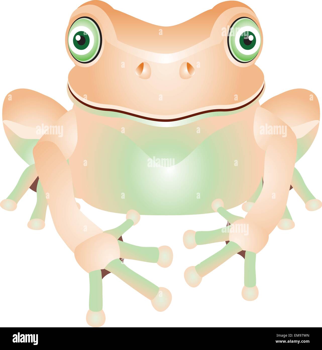 Frosch-Cartoon Stock Vektor