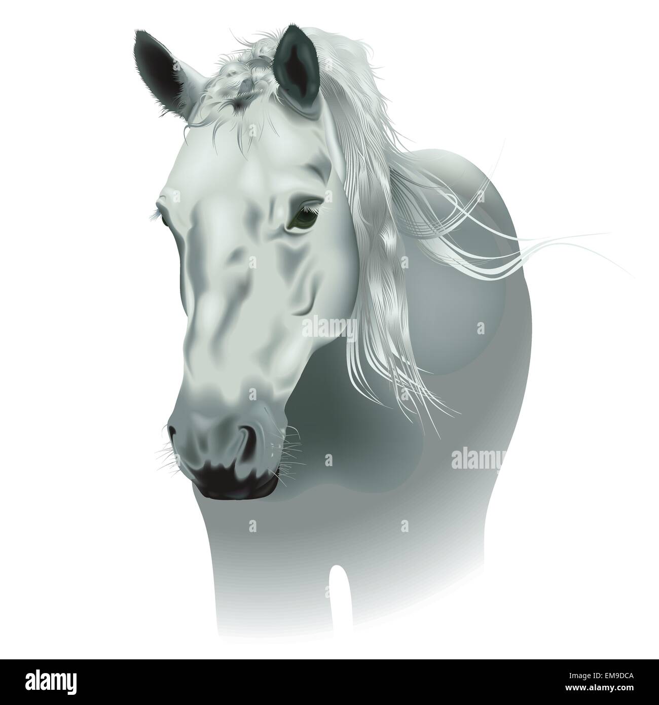 White Horse Stock Vektor