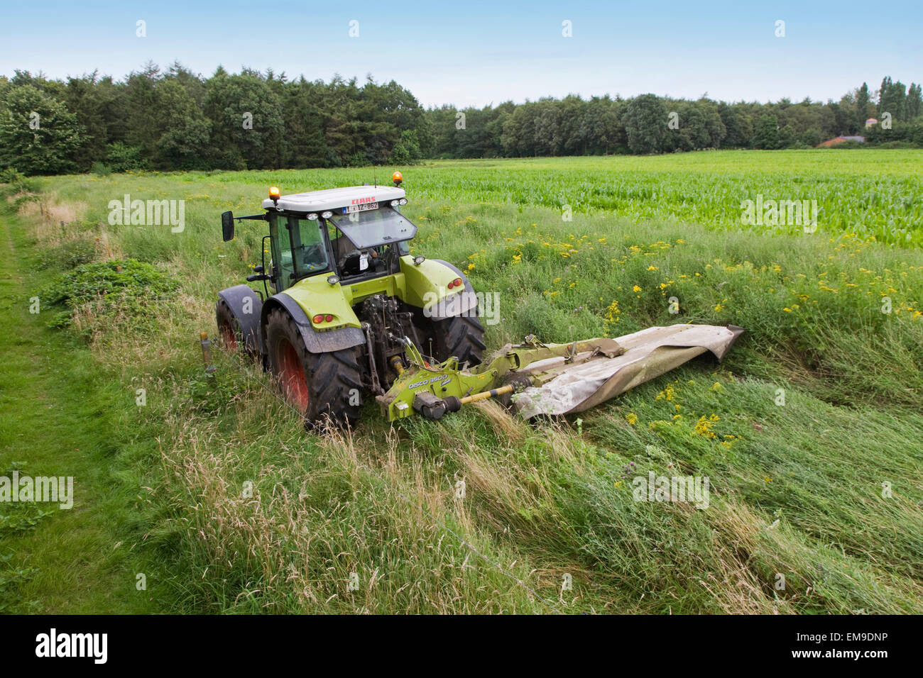 Traktor mit Mähbalken / Einzelstab Mäher / Sichel bar Mäher Rasenmähen in Wiese Stockfoto