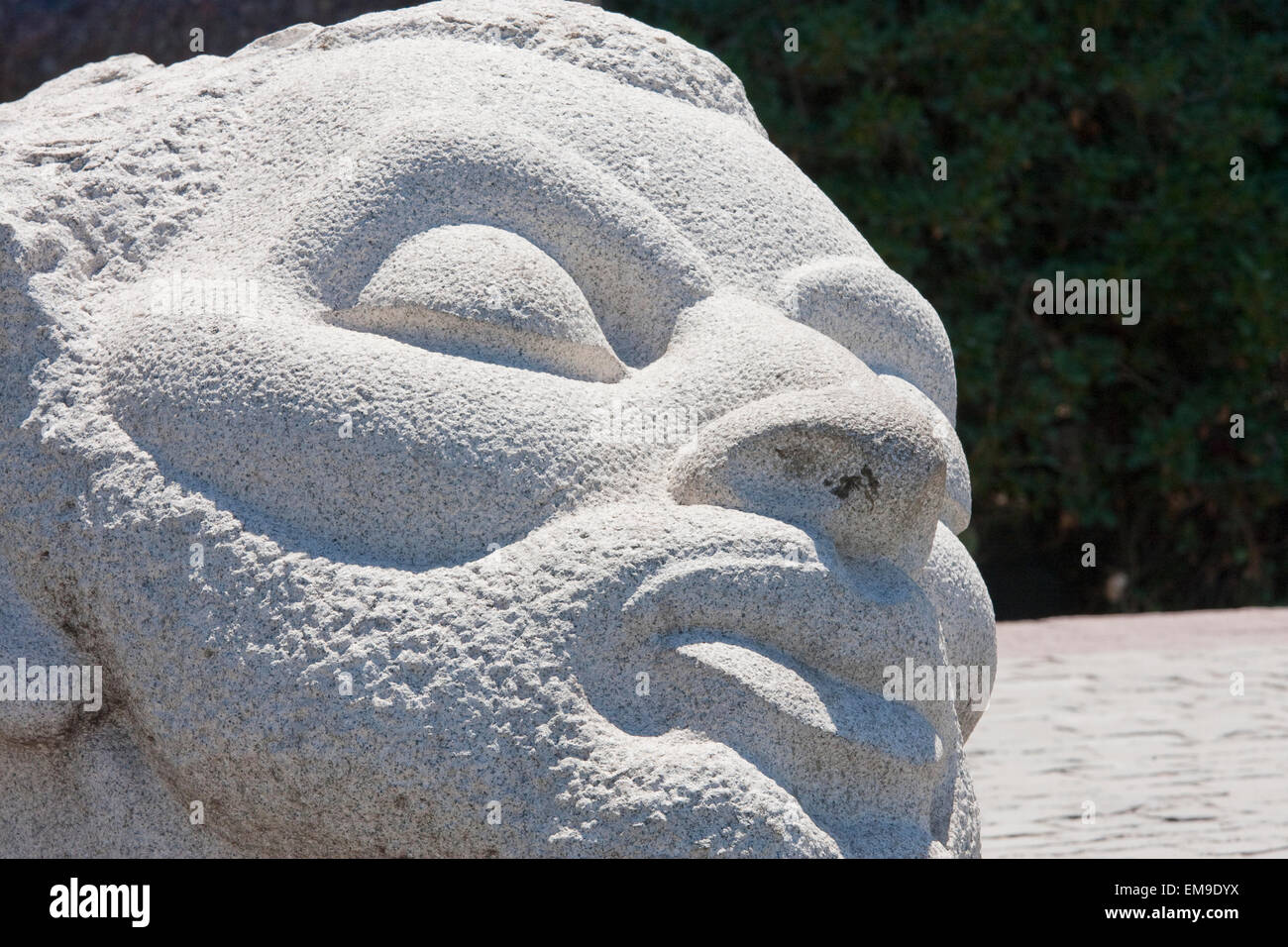 Peter, Langer, Chile, Chile, Südamerika Stockfoto
