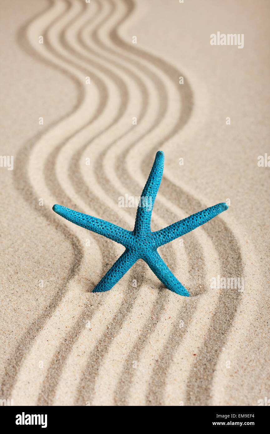 Sterne in den Sand zu stecken, kann als Hintergrund verwendet werden Stockfoto