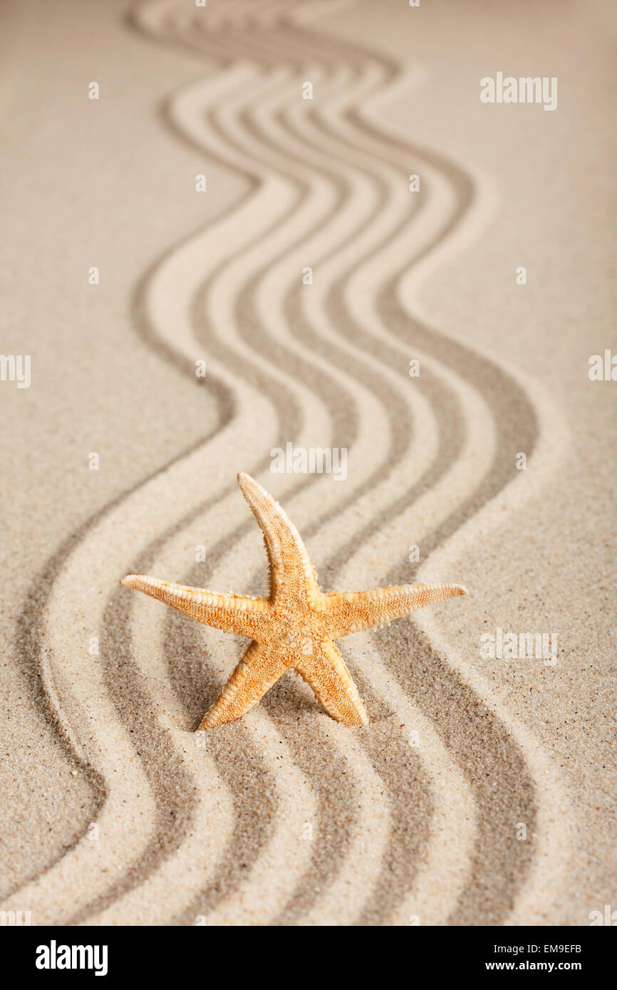 Sterne in den Sand zu stecken, kann als Hintergrund verwendet werden Stockfoto
