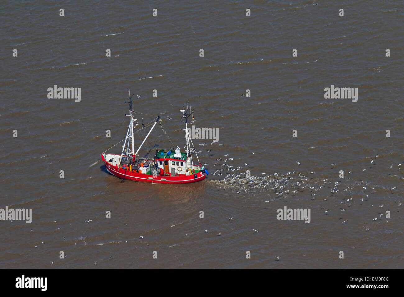 Luftaufnahme des red Garnelen Trawler Bootsfischerei für Garnelen auf dem Meer gefolgt von Möwen Stockfoto