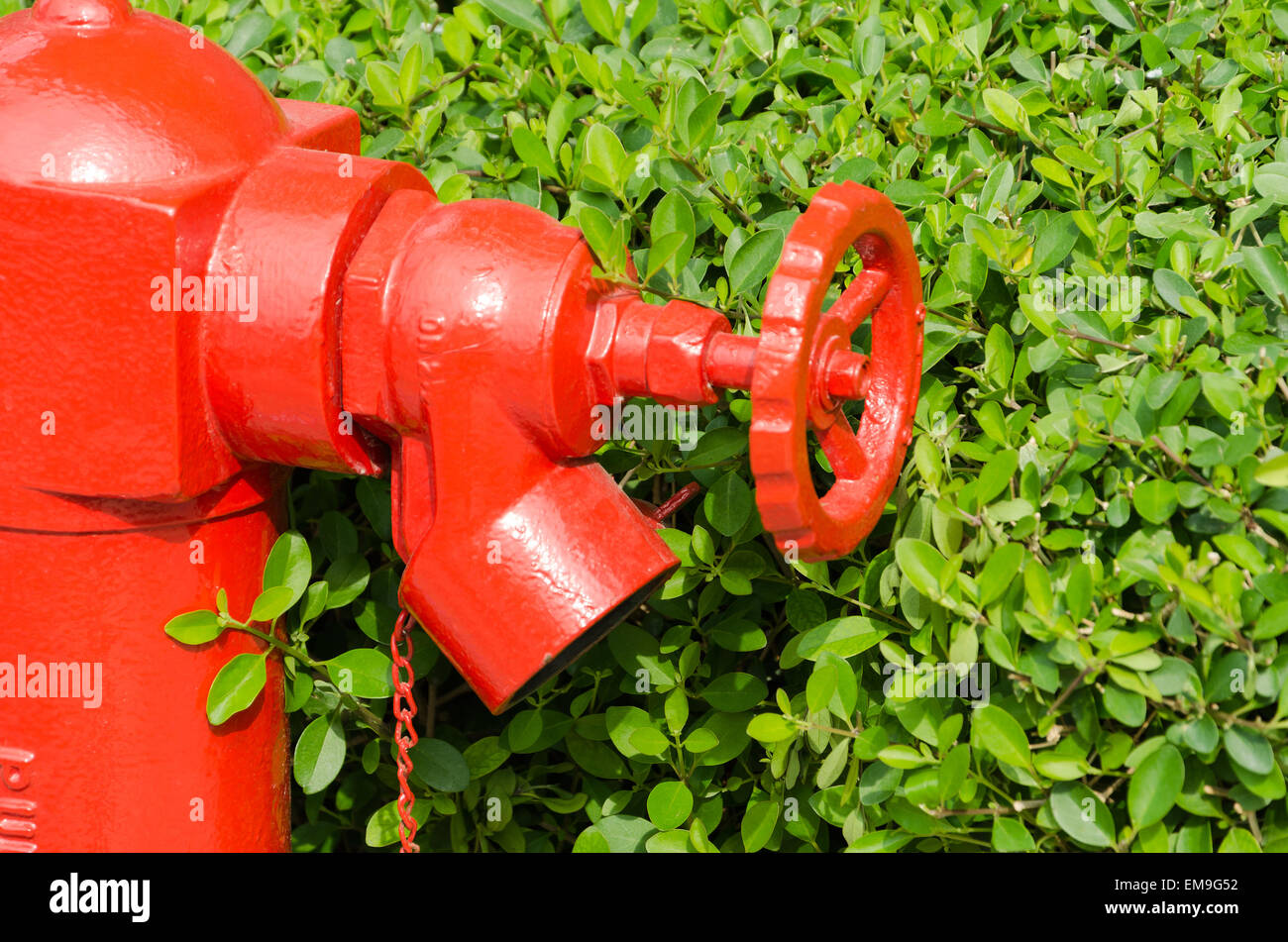 Red Fire hydrant Stockfoto