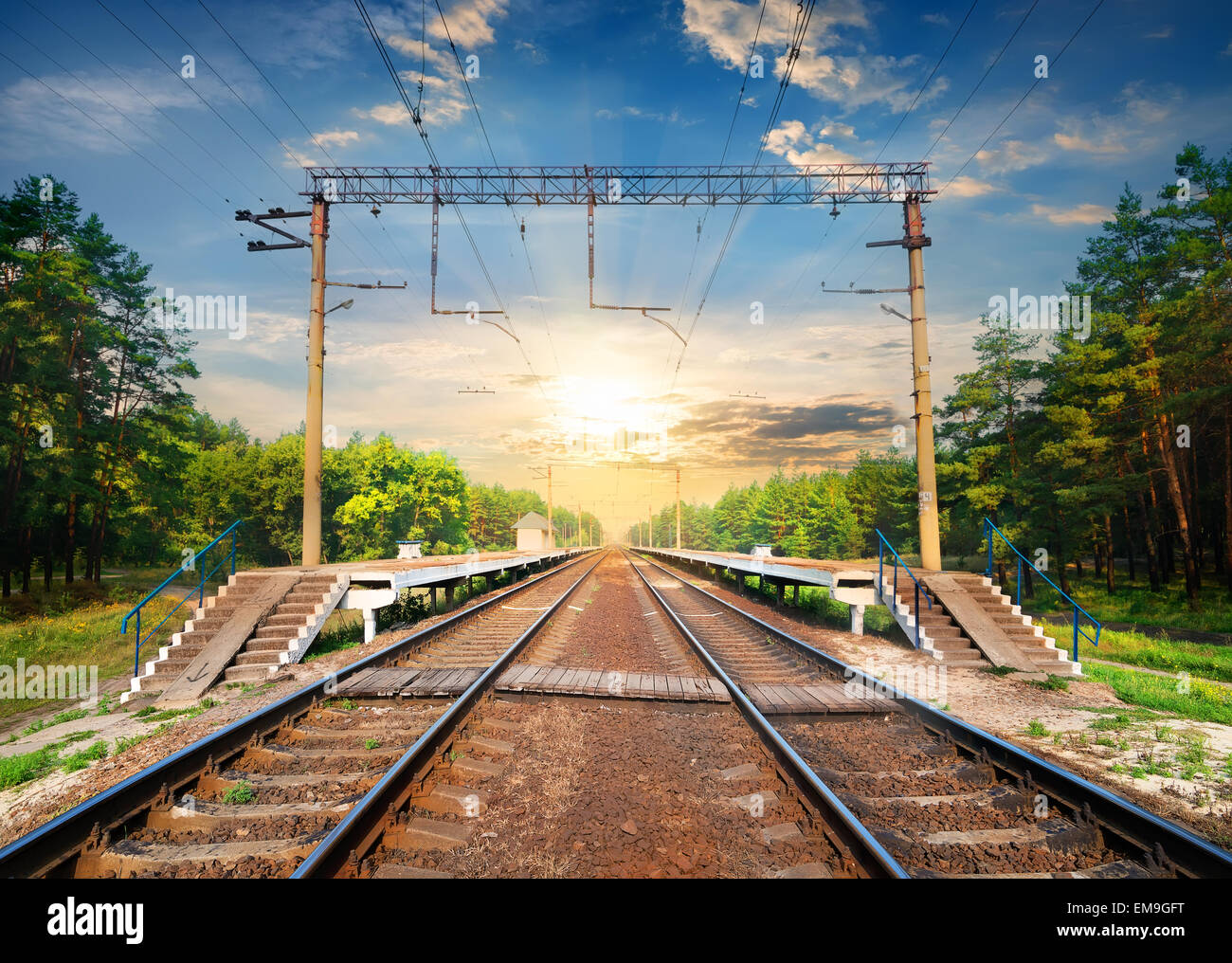 Treppen auf einem Bahnhof im Wald Stockfoto