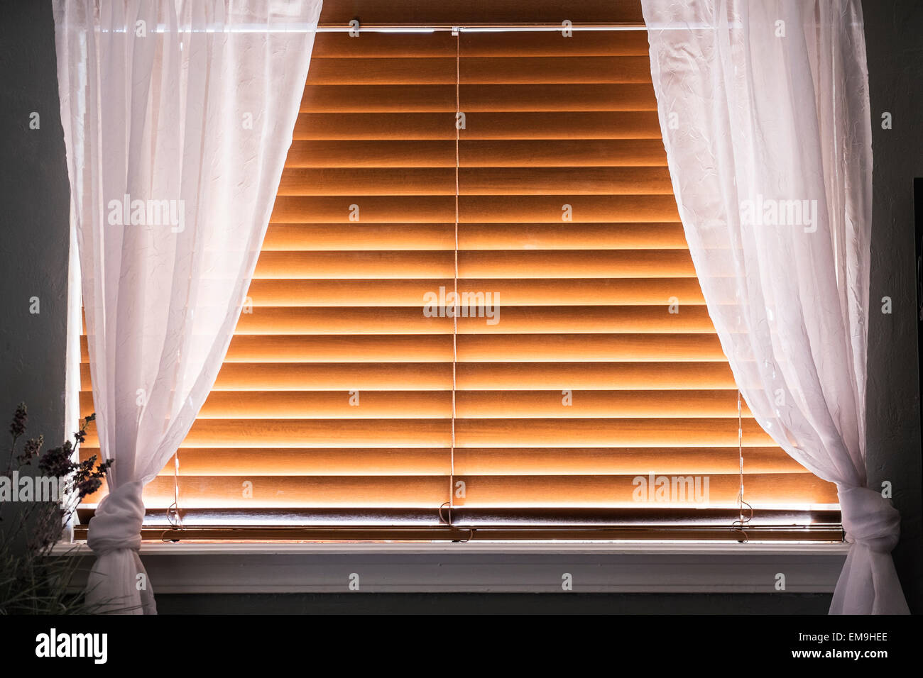 Ein Fenster mit geschlossenen Holz Jalousien mit weißen hauchdünne Vorhänge bedeckt. Stockfoto