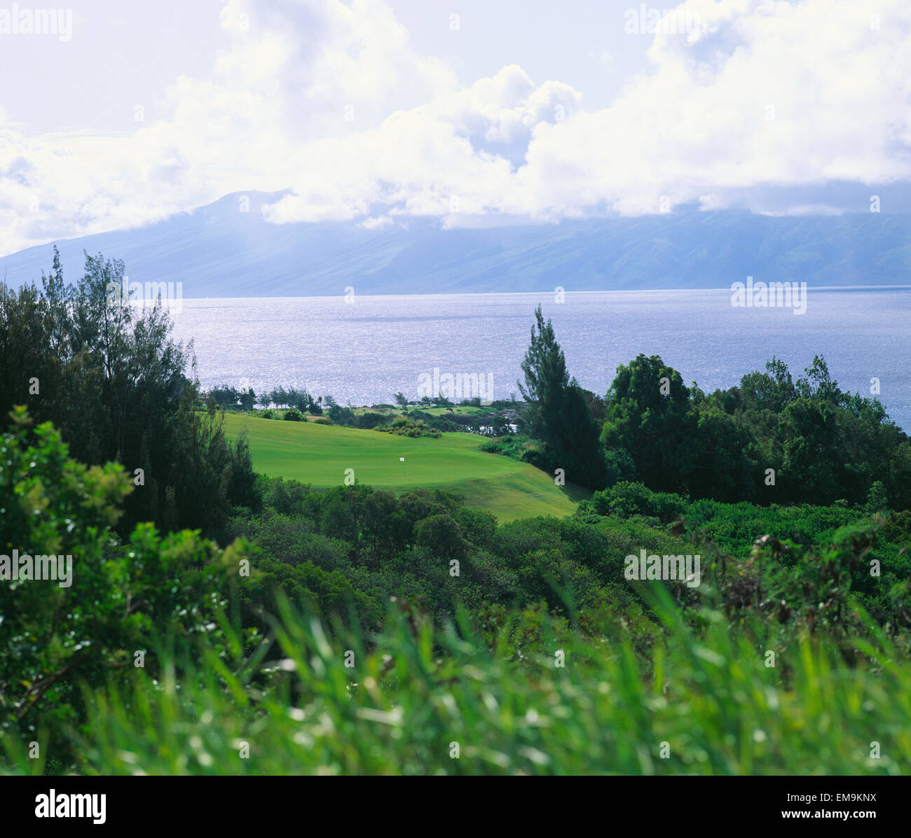 Hawaii, Maui, Kapalua Golf Club, Plantation Course Loch #6, Grün über Gulch, Ozean Stockfoto