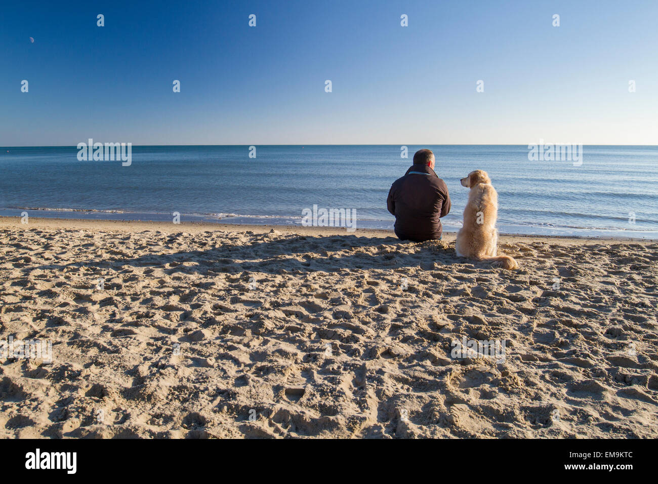 Mensch und Hund am Strand an einem sonnigen Wintertag mit Ruhe, Meer und blauer Himmel Stockfoto