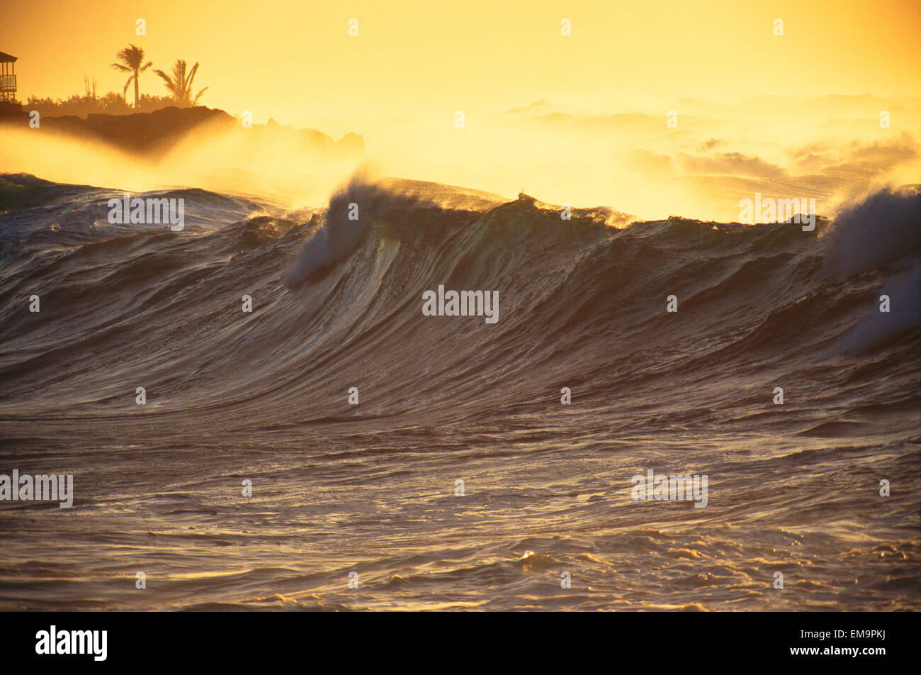 Goldenen Nachmittag Wellen, stürmische See. Stockfoto