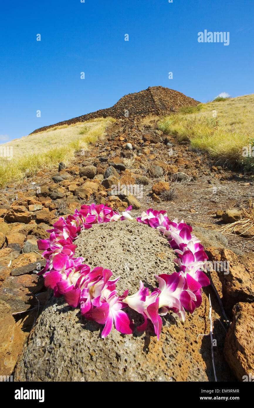 Hawaii, Big Island, North Kohala, Kawaihae, Mailekini Heiau, Orchidee Lei im Vordergrund. Stockfoto