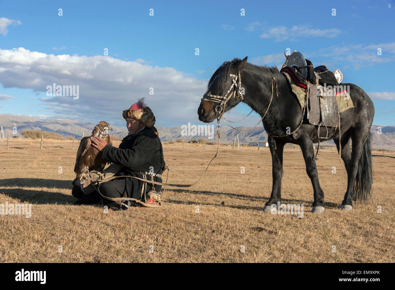 Mongolische Adler Jäger streichelte seine Steinadler während einer Rest Pause, in der Nähe von Ölgii, westliche Mongolei Stockfoto
