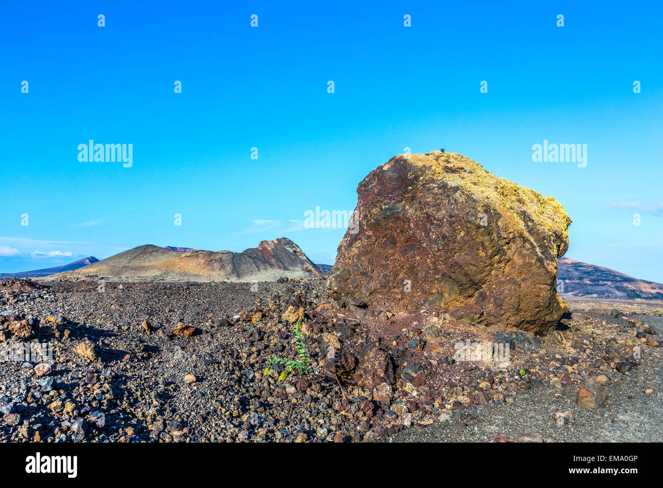Vulkanische Bombe vor Vulkan Montana Colorada in Lanzarote, Kanarische Inseln, Spanien Stockfoto