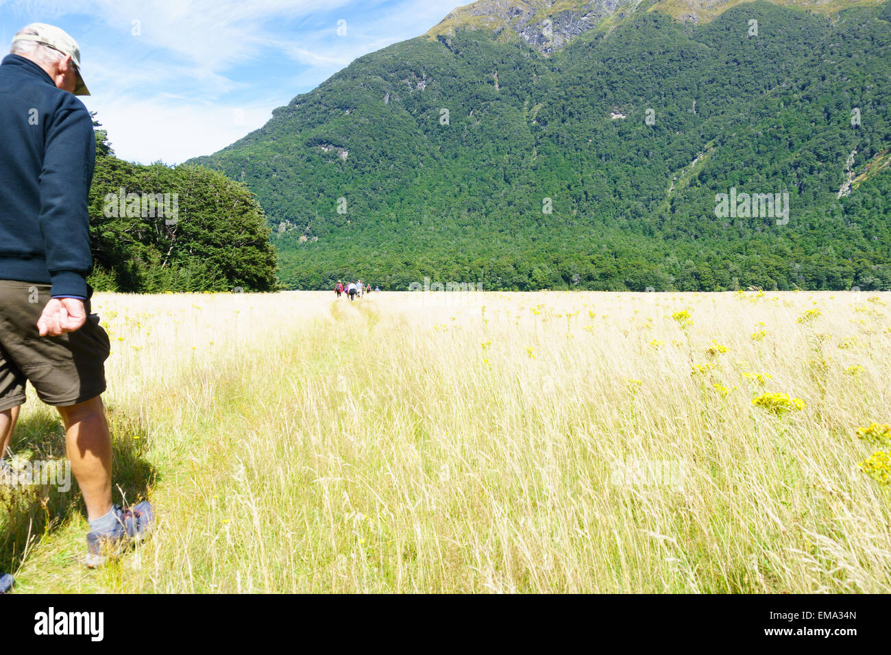 Mann geht in Frame auf auf eine große Neuseeland gehen, während andere Wanderer sind weiter voran gehen durch Tal zwischen mountai Stockfoto