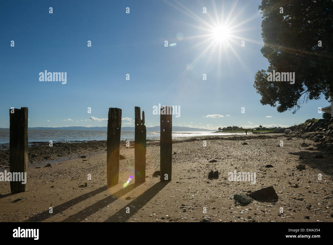 Tararu Strand, Themse, Coromandel., alte Mole Pfähle an den niedrigen Gezeiten Blick in die Sonne spät in den Tag. Stockfoto