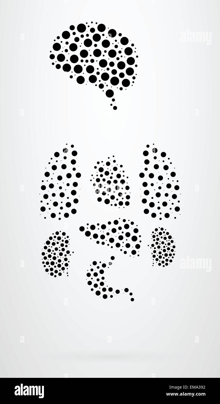 Menschliche Organe-Icon-Set Stock Vektor