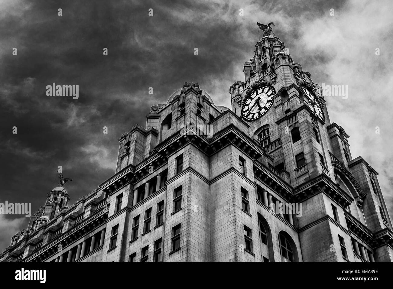 Monochromes Bild des Royal Liver Building in Liverpool. Stockfoto