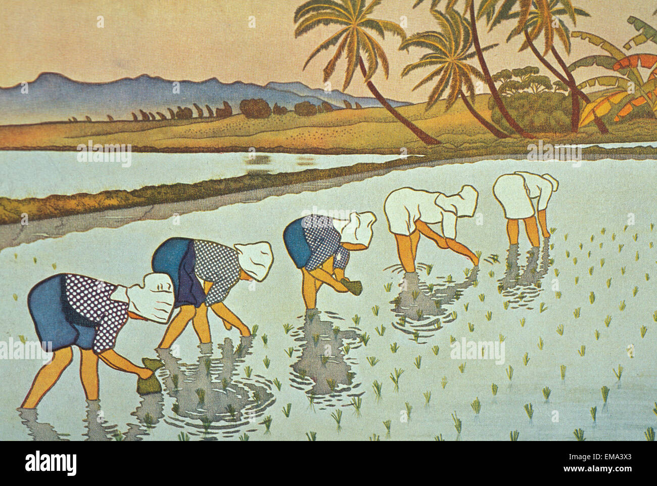 C.1936 Hawaii, Alf Hurum Kunst, Illustration von 5 Frauen Pflanzen Reis im grünen Bereich Stockfoto