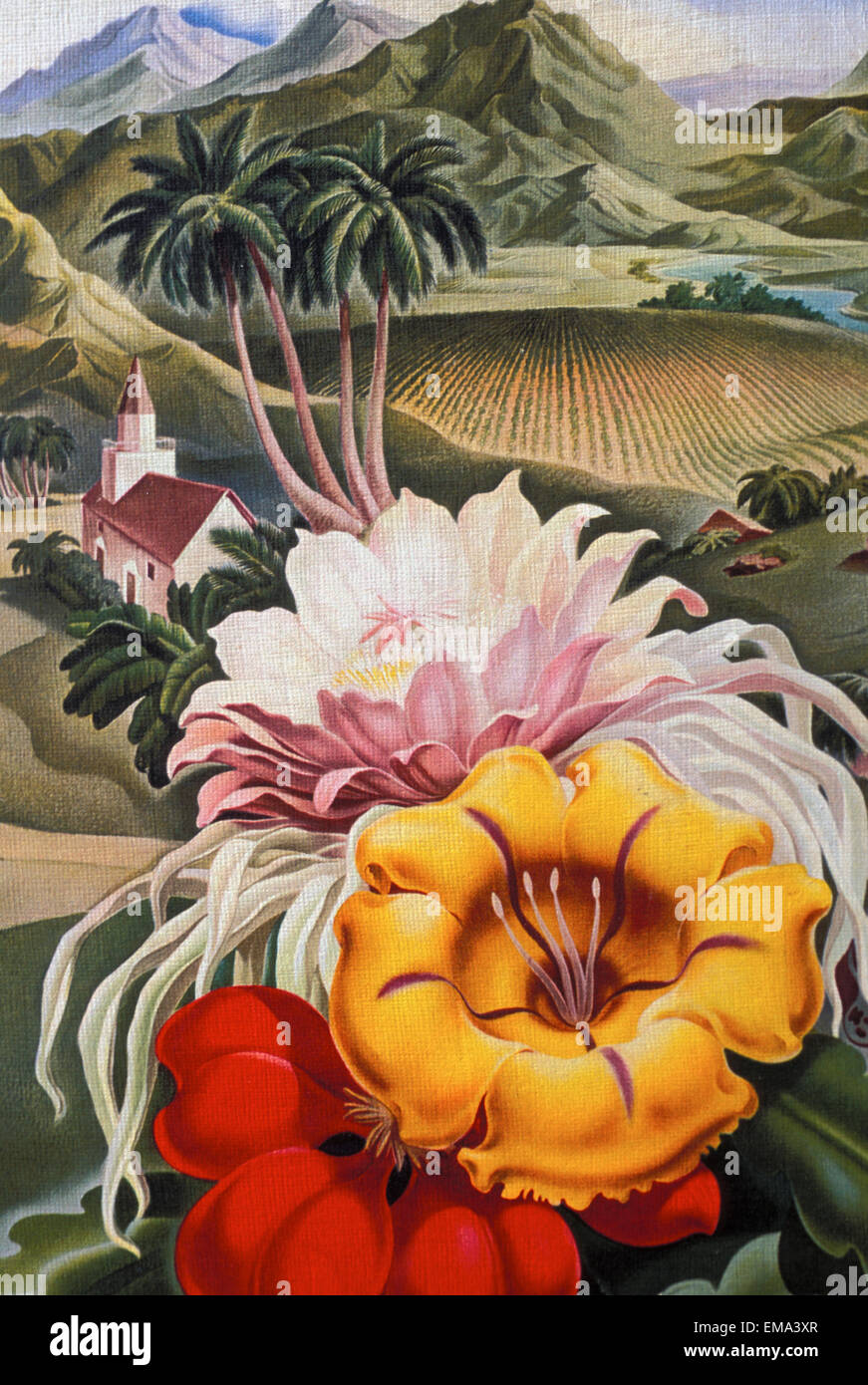 C.1940 Hawaii, redaktioneller Art, grüne Landschaft mit tropischen Blumen im Vordergrund Stockfoto