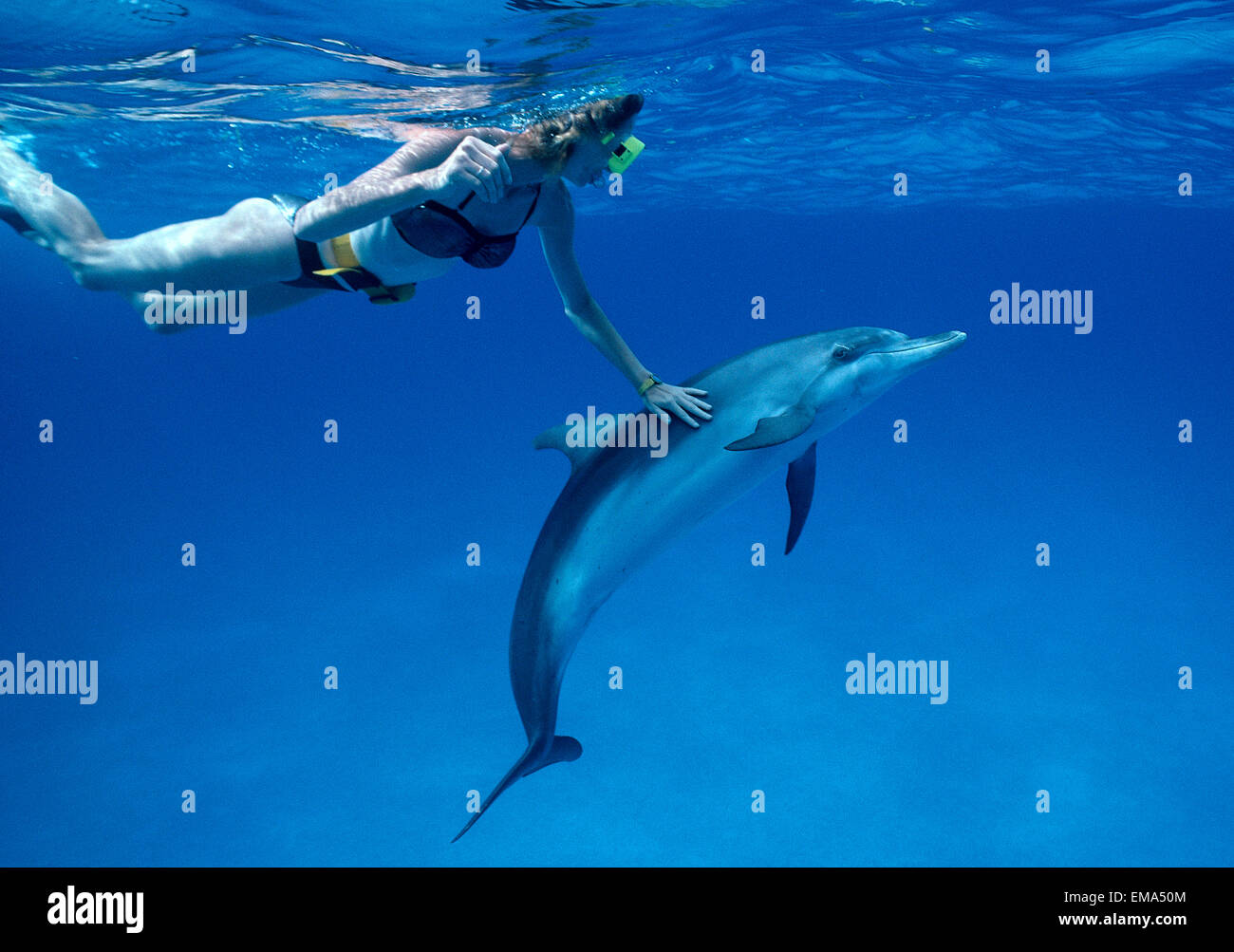 Karibik, Little Bahama Bank, Spotted Dolphin mit Schnorchler Atlantik (Stenella) A92D Stockfoto