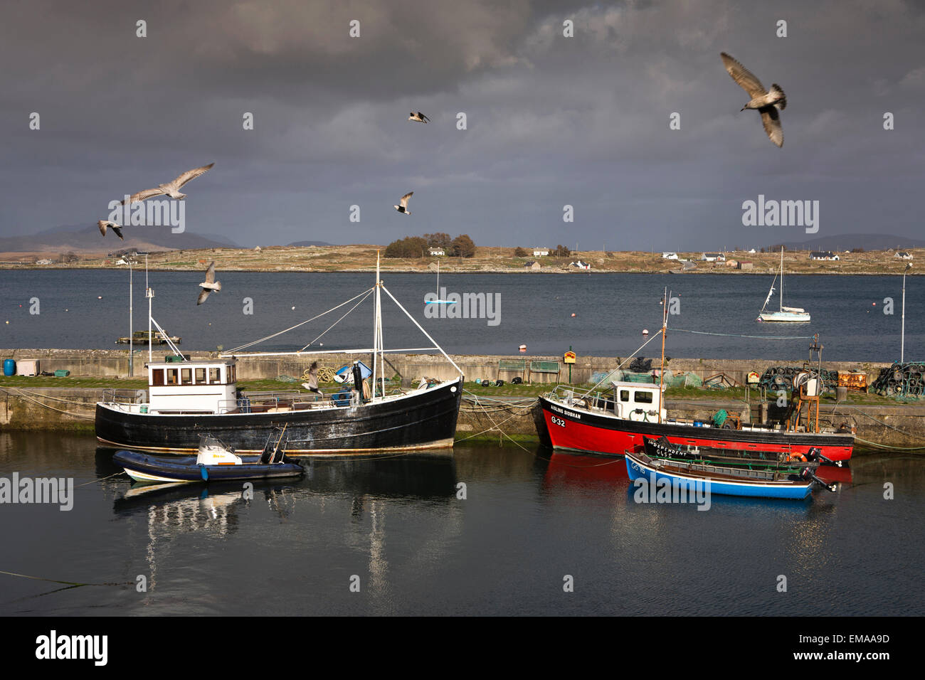 Irland, Co. Galway, Connemara, Roundstone Hafen Angelboote/Fischerboote mit Inishnee über Stockfoto