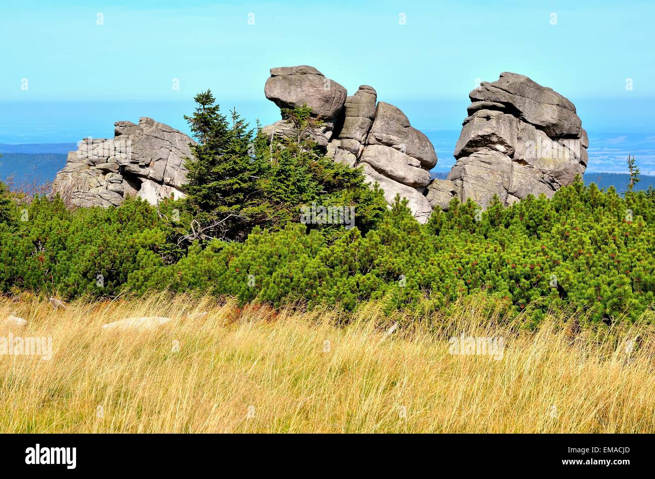 Bildung von Felsen. Rock-Gruppe namens Konskie Lby (Pferdekopf) an der Spitze des Szrenica Gipfel im Nationalpark Riesengebirge, Polen. Stockfoto