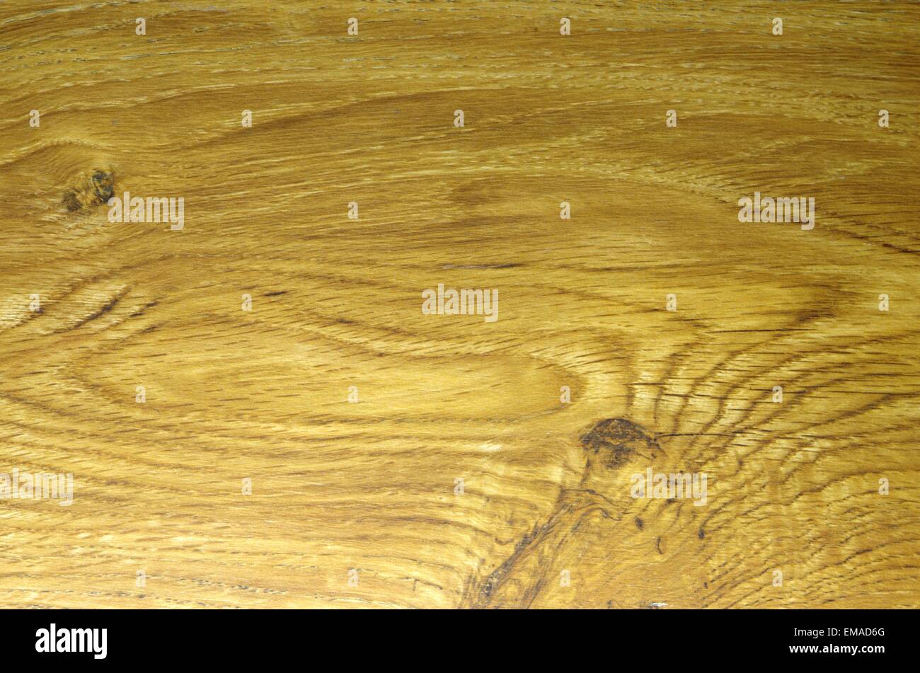 Holz Eiche Textur mit Korn Stockfoto
