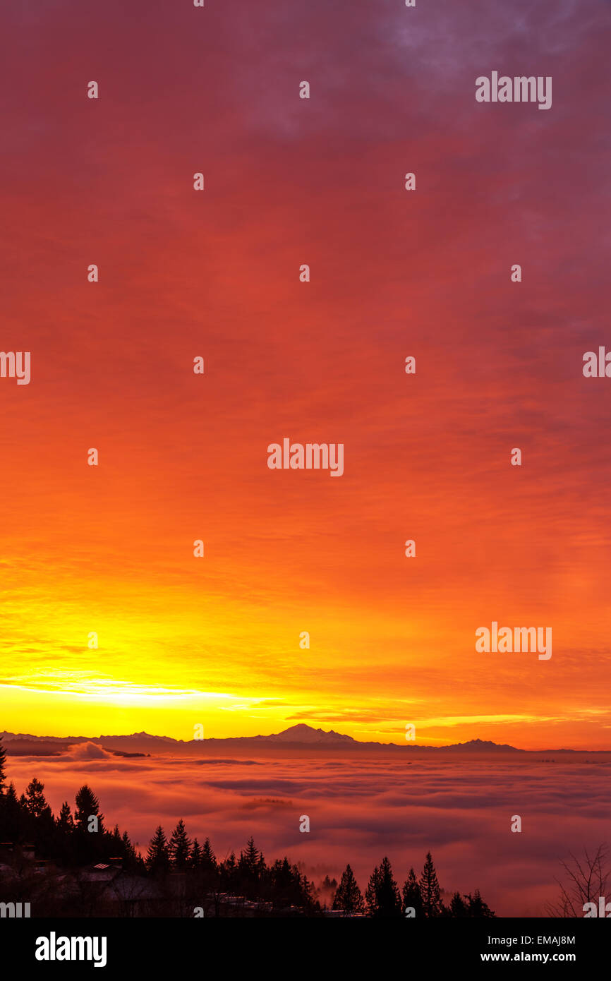 Morgenglut, intensive golden Wolkengebilde. Stockfoto