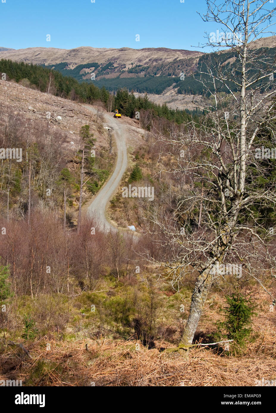 Forstwirtschaft Betrieb und Pfad an der Seite von Ben Ledi Berg in den Trossachs National Park, Schottland Stockfoto