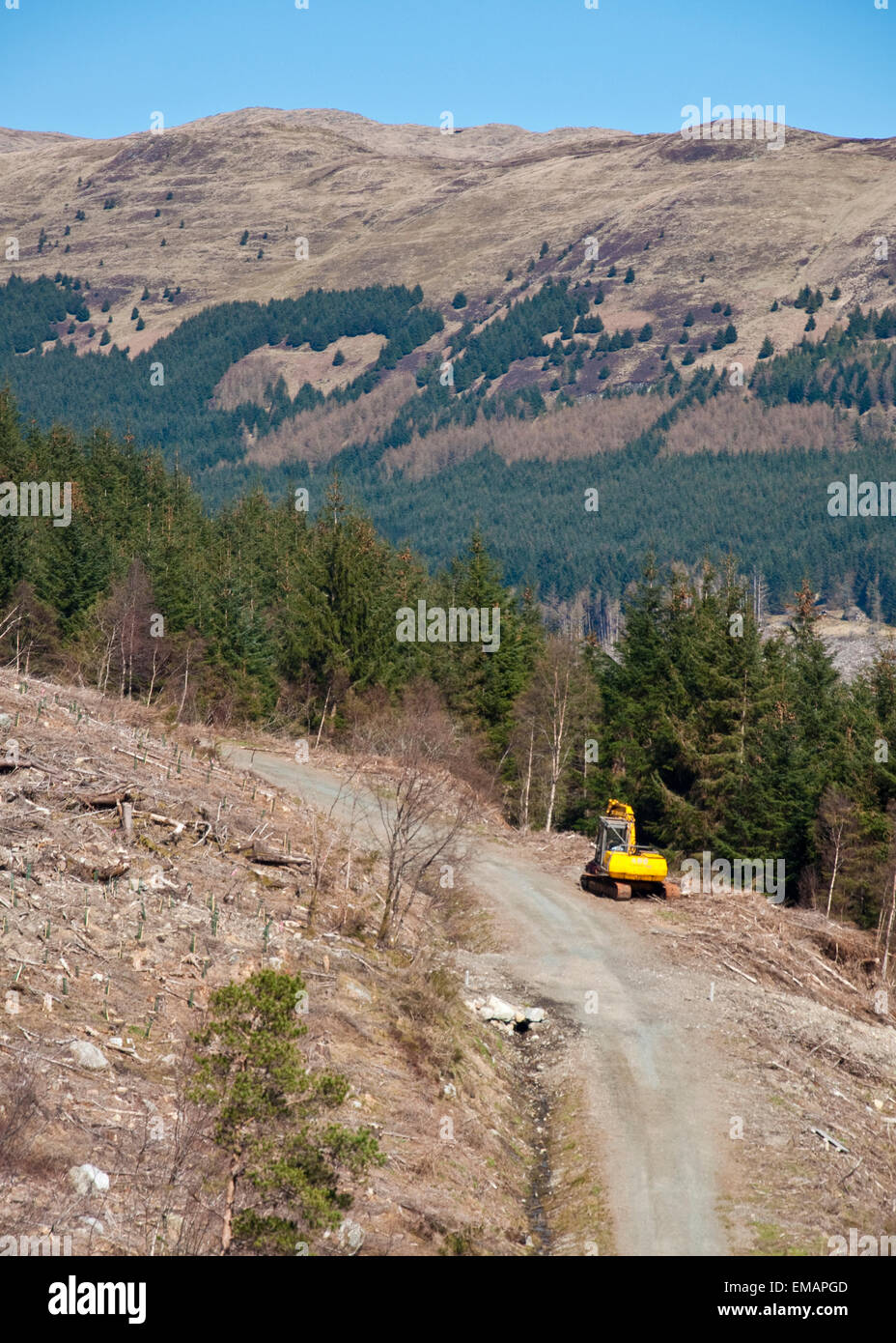 Forstwirtschaft Betrieb und Pfad an der Seite von Ben Ledi Berg in den Trossachs National Park, Schottland Stockfoto