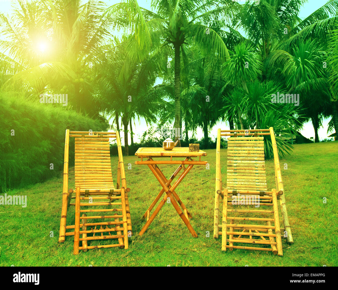 Zwei Sessel im tropischen Garten am sonnigen Tag Stockfoto