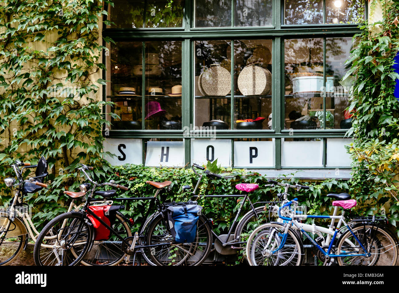 Schaufenster, Hackeschen Hofe, Mitte, Berlin, Deutschland Stockfoto