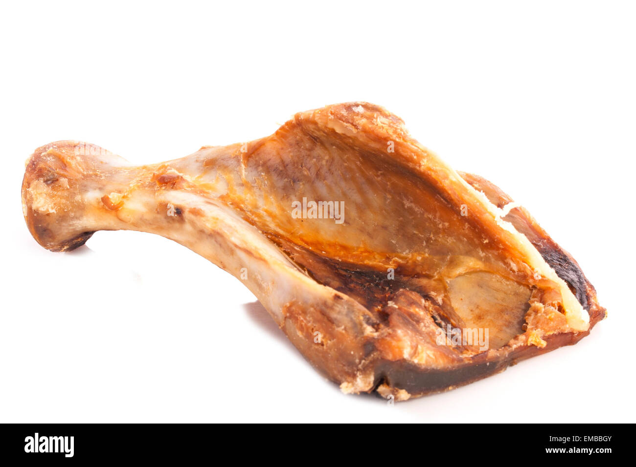 Schulterblatt (Scapula) Hundeknochen isoliert auf weißem Hintergrund Stockfoto