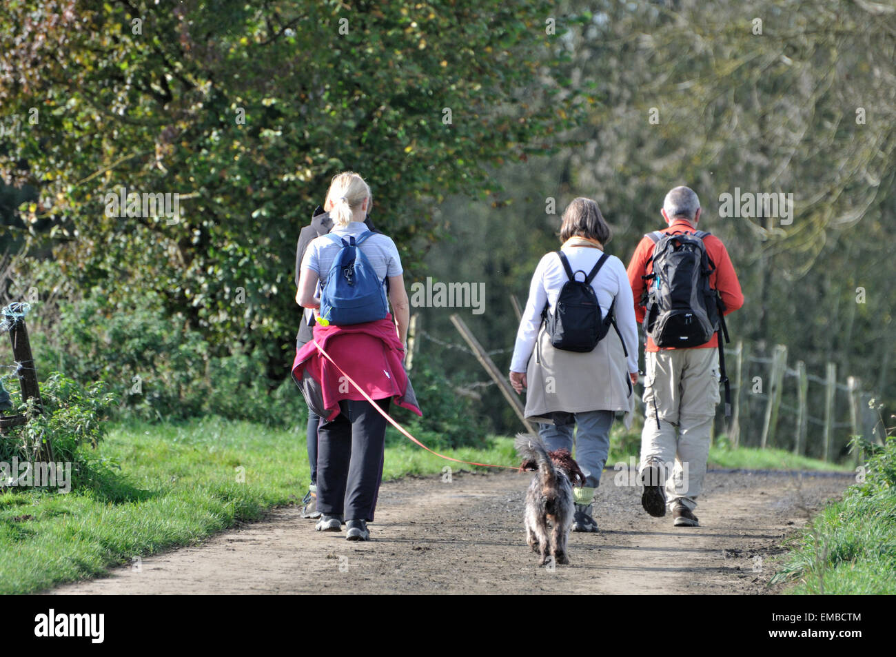 Eine Familie mit einem Hund zu Fuß in einen Fußweg in die Landschaft. Ein blonder Teenager Mädchen mit ihrer Mutter und ihrem Vater wandern für die Gesundheit. Stockfoto