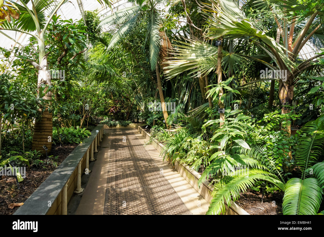 Innenausstattung des Palm House in The Kew Gardens, London England Großbritannien Stockfoto