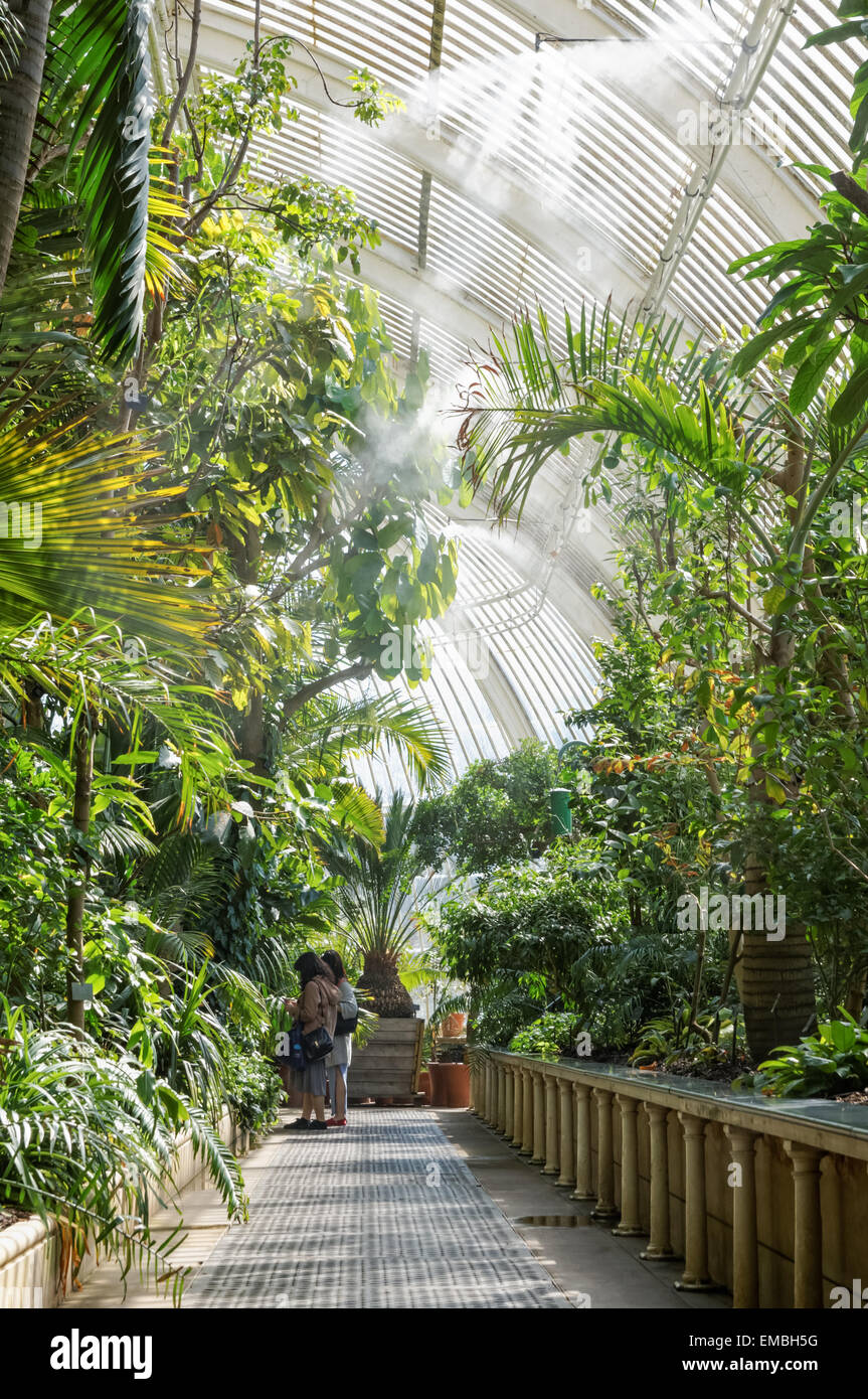 Innenausstattung des Palm House in The Kew Gardens, London England Großbritannien Stockfoto