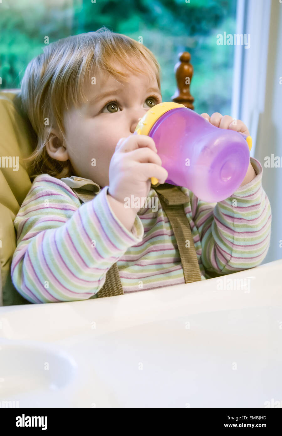 Junge Kleinkind Mädchen (15 Monate alt) trinken aus ihrem sippy Tasse sitzend in einem Hochstuhl starrte das Deckenlicht entfernt Stockfoto