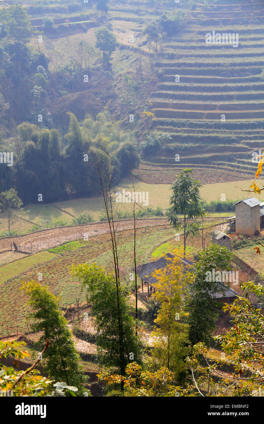 Vietnam, Lao Cai Provinz, können Cau, terrassierten Felder, Landschaft, Stockfoto
