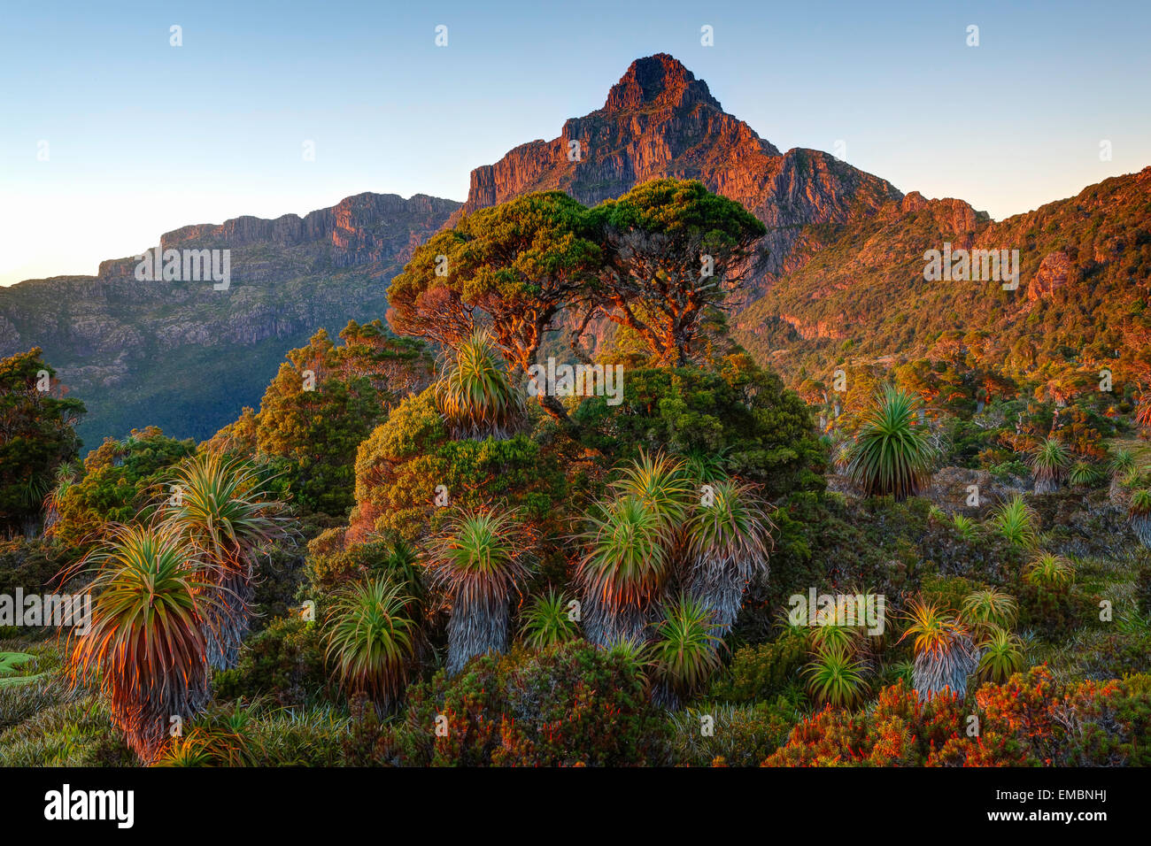 Mt. Anne aus Pandani Regal - Southwest-Nationalpark - Tasmanien - Australien Stockfoto