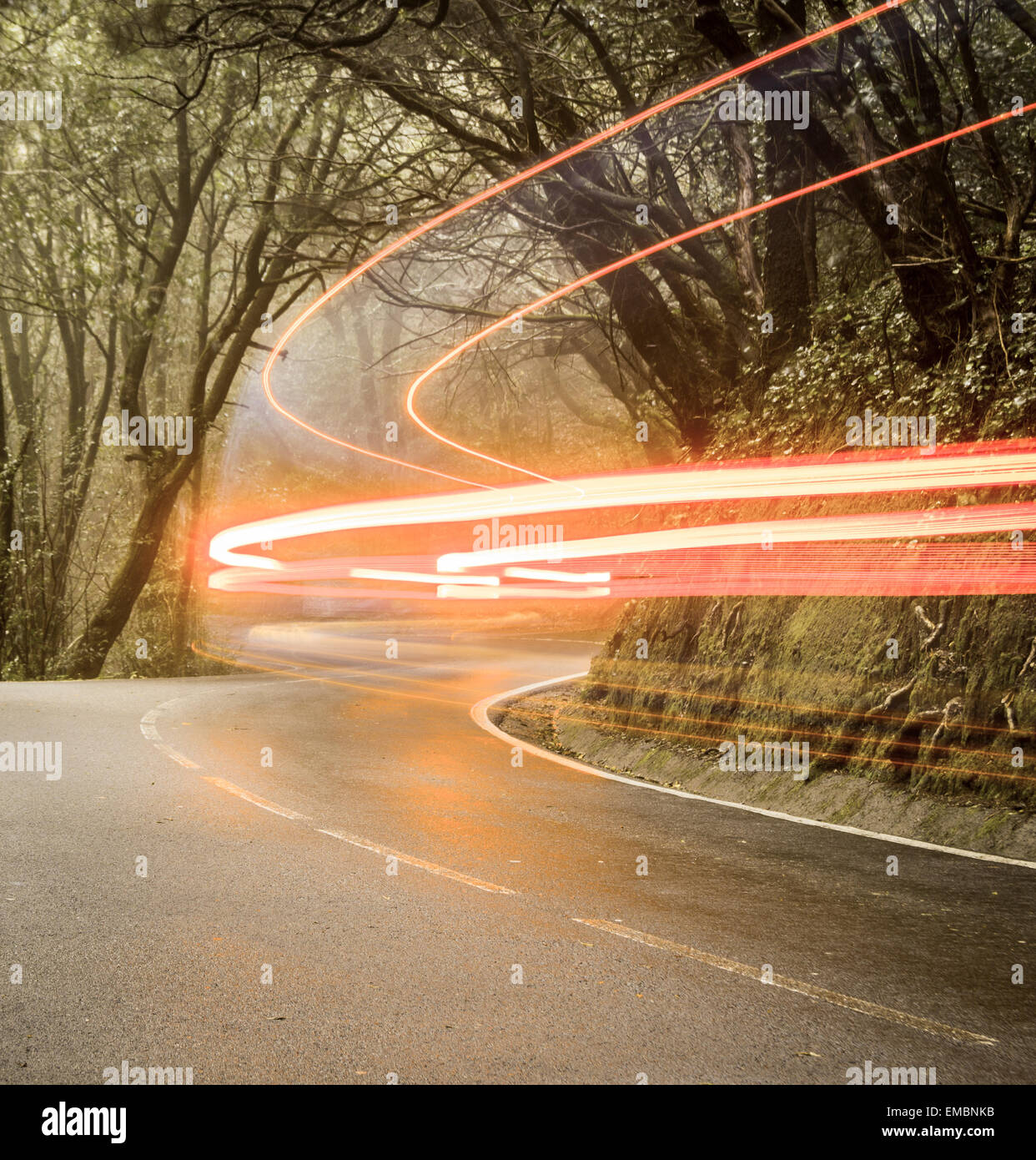 Auto Lichtspuren auf Waldweg Stockfoto