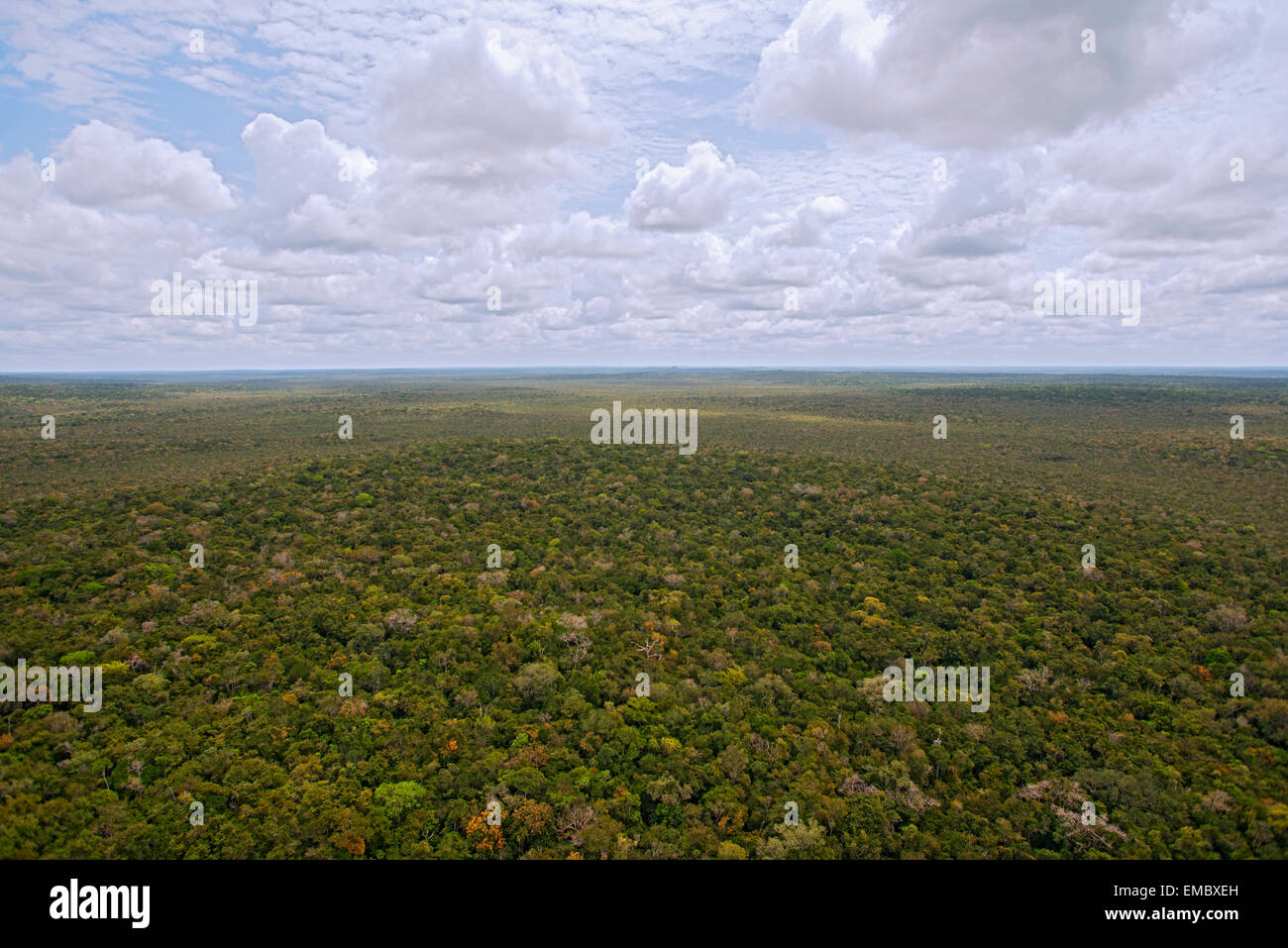 Luftaufnahme des guatemaltekischen Maya Biosphären-Reservat Stockfoto